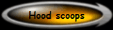 Hood scoops