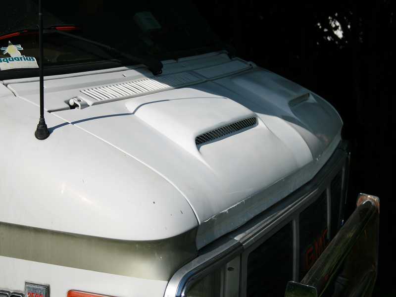 Hood scoops